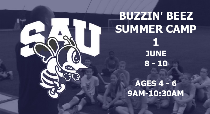 Buzzin’ Beez – Summer Camp 1 – June 8 – 10